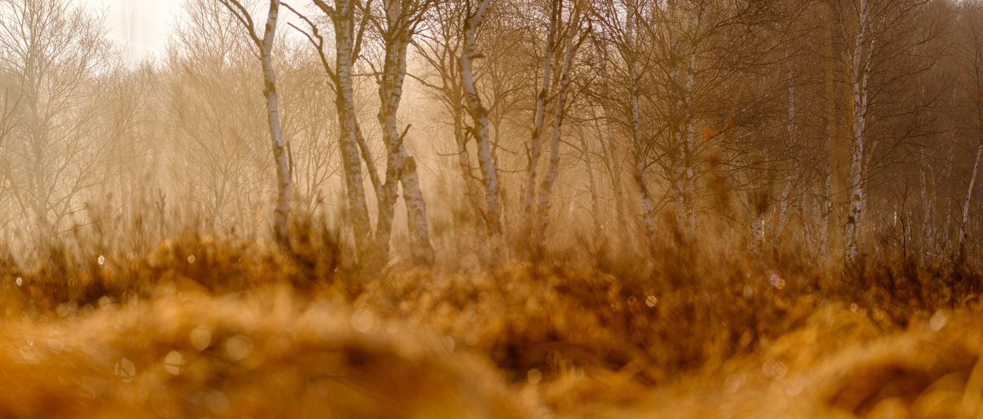 2023 03 19  xt 5   4643